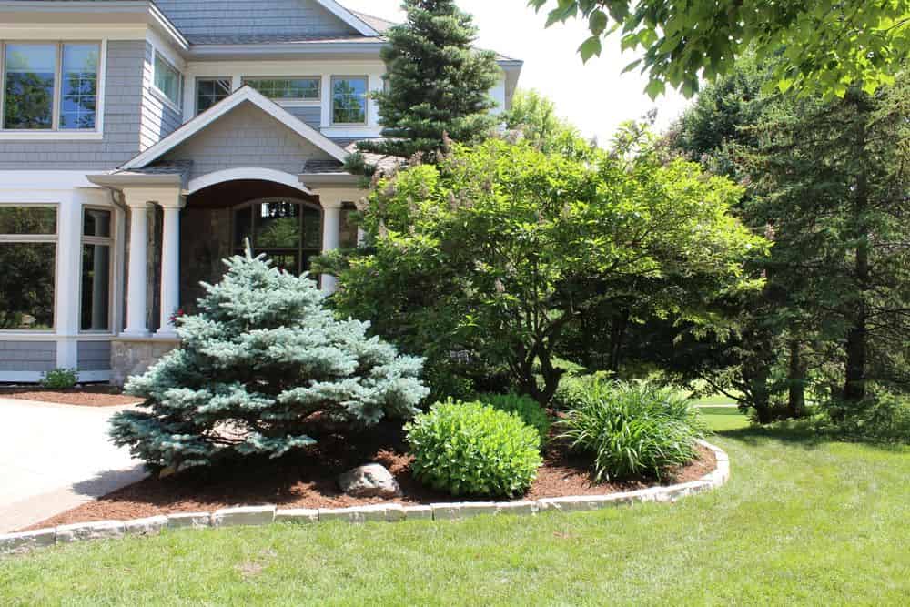 Landscape Maintenance image