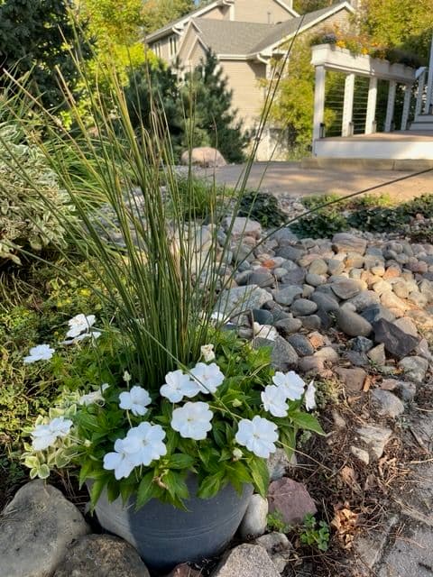 Get Your Garden Ready with Walker Outdoor Solutions image