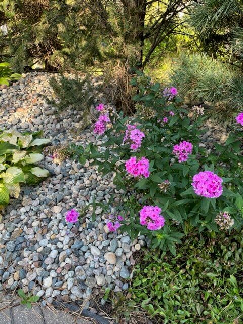 Gallery photos for Get Your Garden Ready with Walker Outdoor Solutions: Image #1